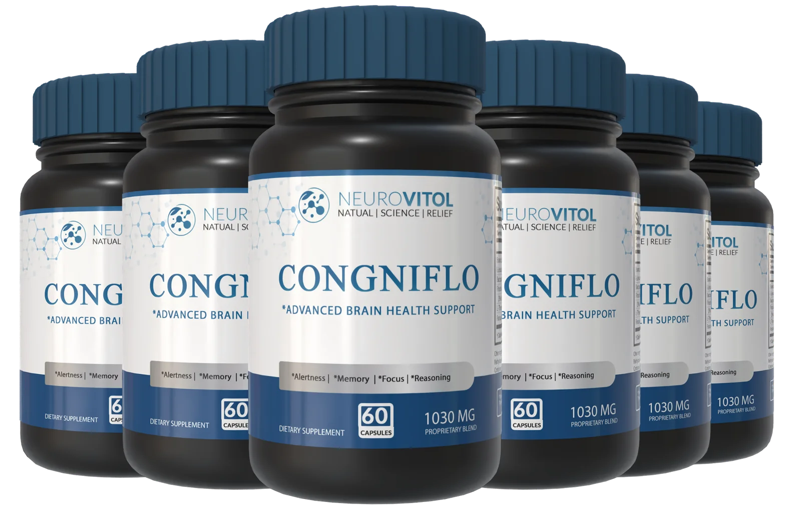Congniflo six bottle package